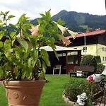 Apartmenthaus Erna Apartment