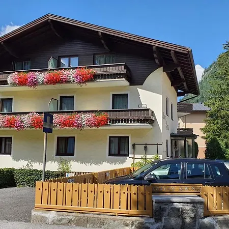 Apartmenthaus Erna *