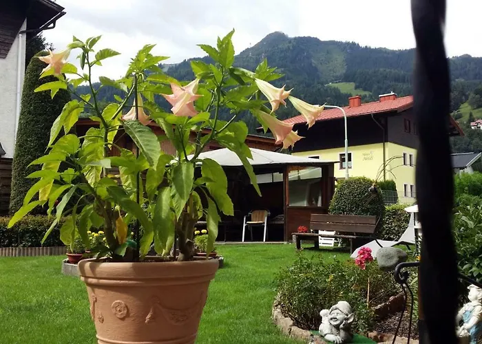 Apartmenthaus Erna Appartamento