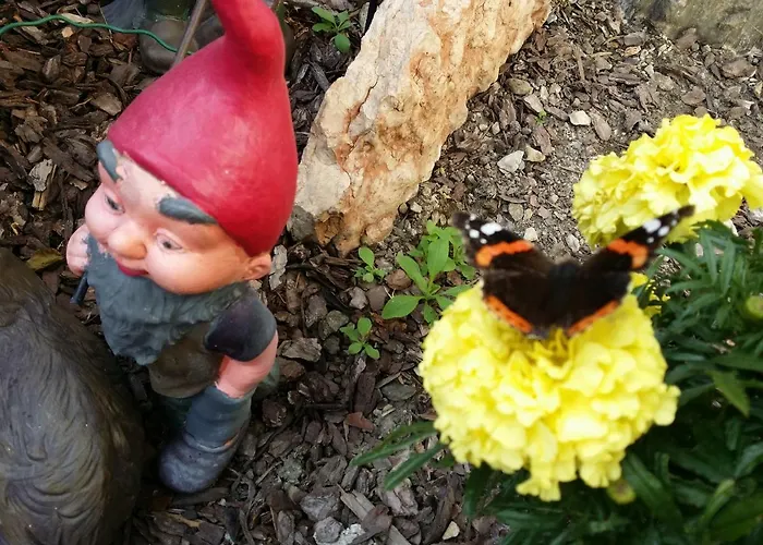 Apartmenthaus Erna Appartamento