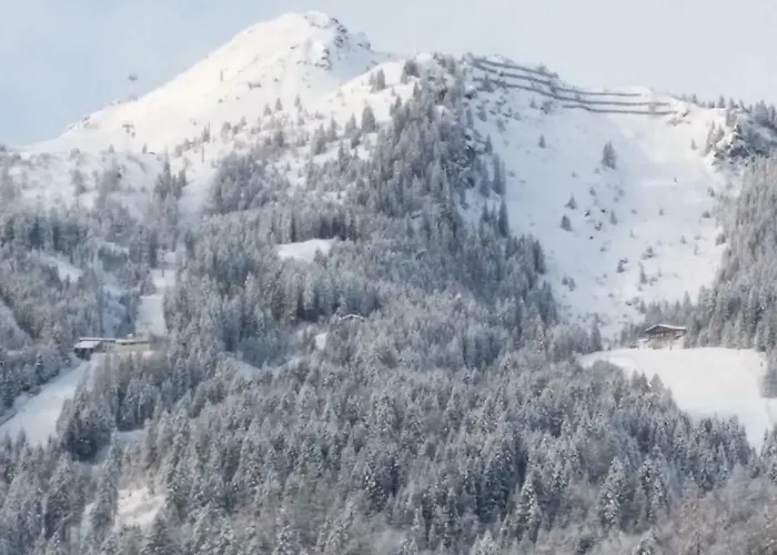 Apartmenthaus Erna Appartamento *